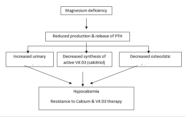 magnesium